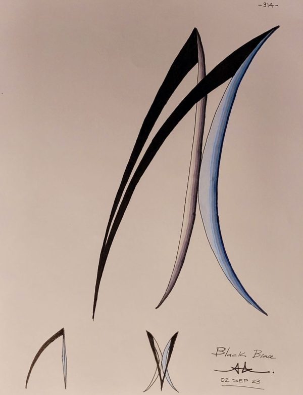 #314